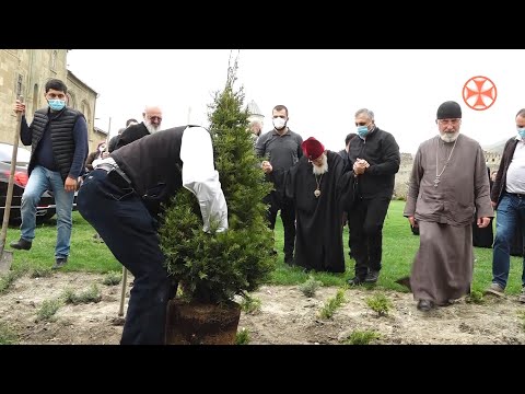 პატრიარქმა სვეტიცხოვლის საკათედრო ტაძრის ეზოს გამწვანებაში მიიღო მონაწილეობა